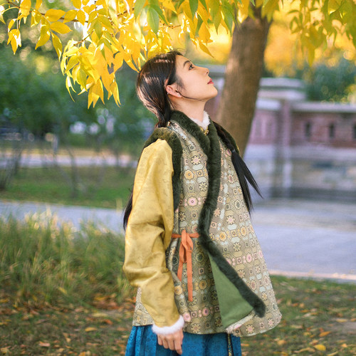 杉水集汉服冬季交领比甲
