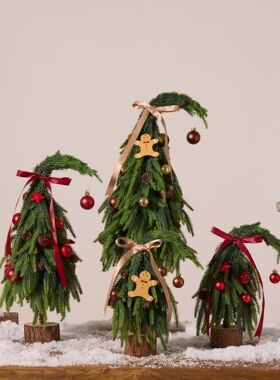 亚马逊新款圣诞树pe歪脖子套餐diy装饰品加密桌面摆件仿真小树