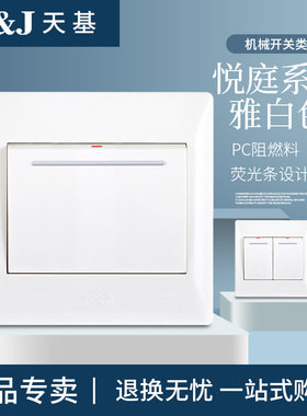 T&J天基悦庭系列白色单联单控双联双控三联四联开关
