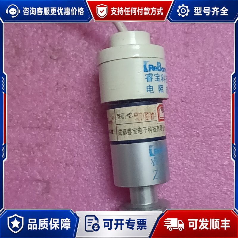 议价睿宝ZJ-52T电阻真空规管 可配真空计 高精度测量可维修图片