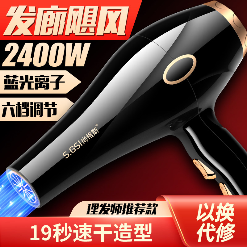 德国发廊专用电吹风机家用大风力护发离子理发店大功率速干冷热风