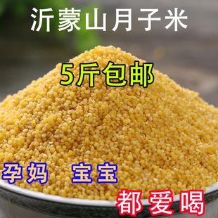 【孟良崮_小黄米新米250g】月子米小米粥杂粮食 黄小米2023新米