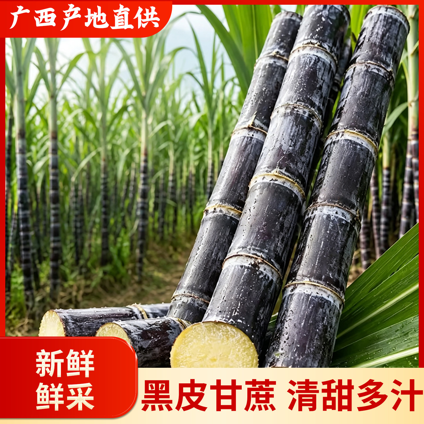 正宗广西黑皮甘蔗脆甜多汁