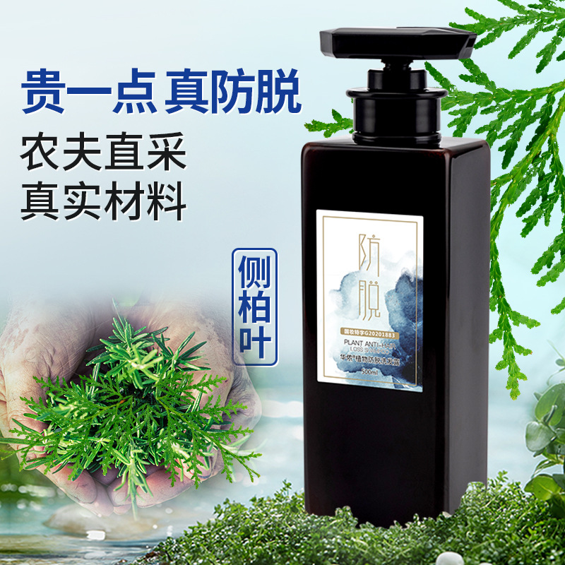 9味植物古法熬煮侧柏叶防脱中药增密发黑发洗发水控油育发洗发露