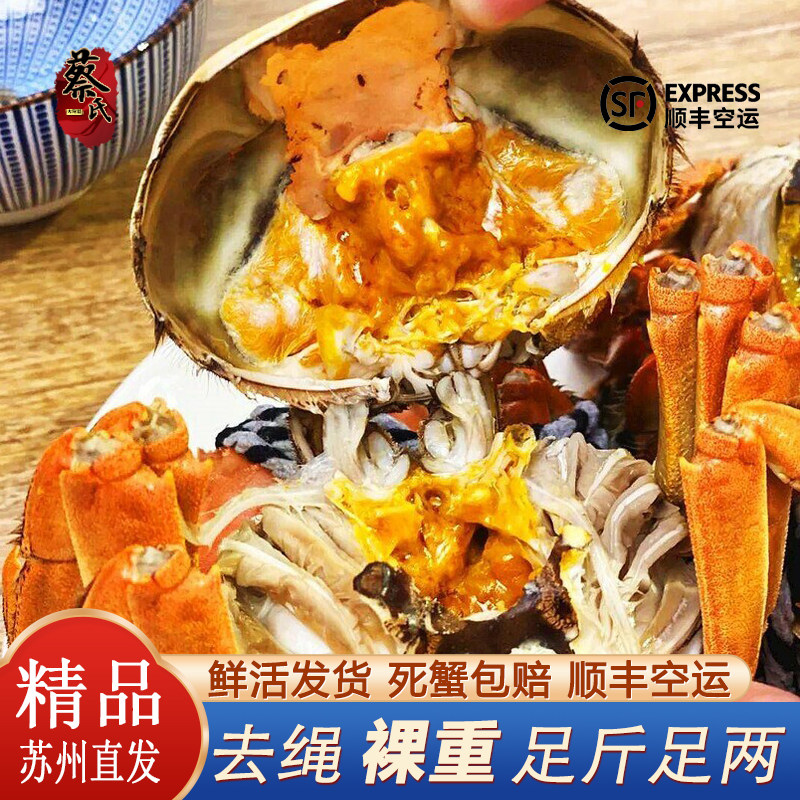 活蟹现货苏州阳澄周末精品大闸蟹鲜活螃蟹湖蟹公母自选正宗螃蟹