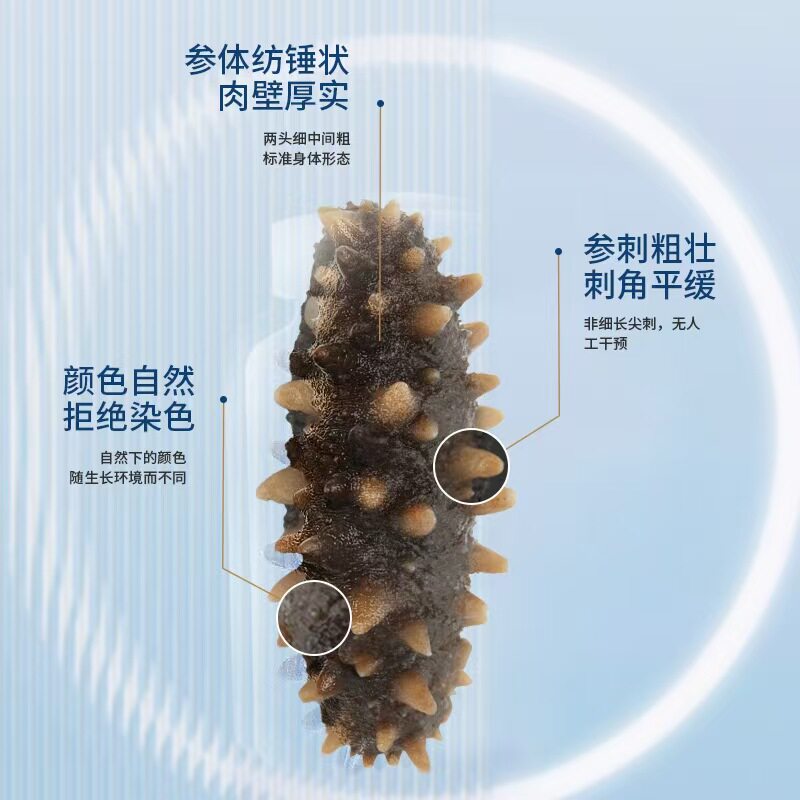 纯正堂有机即食海参冷冻辽参