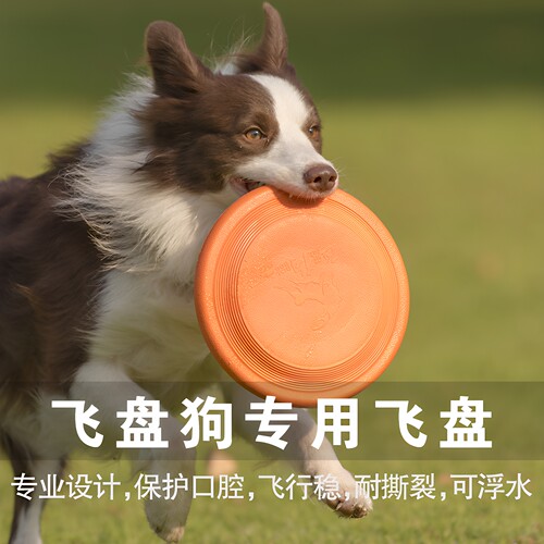 飞盘狗专用柔软耐咬盘