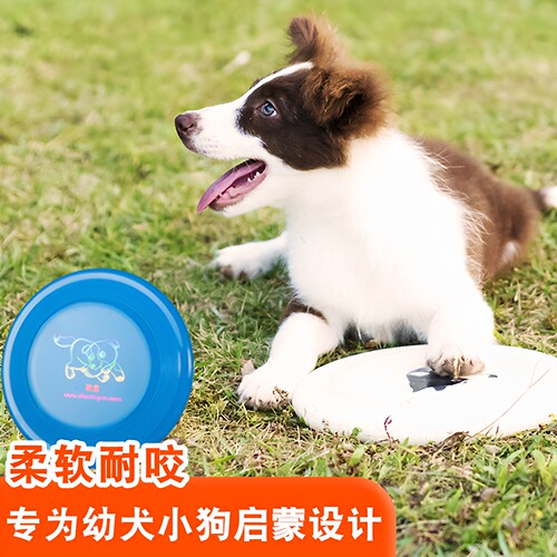 飞盘狗小狗幼犬耐咬软飞碟边牧