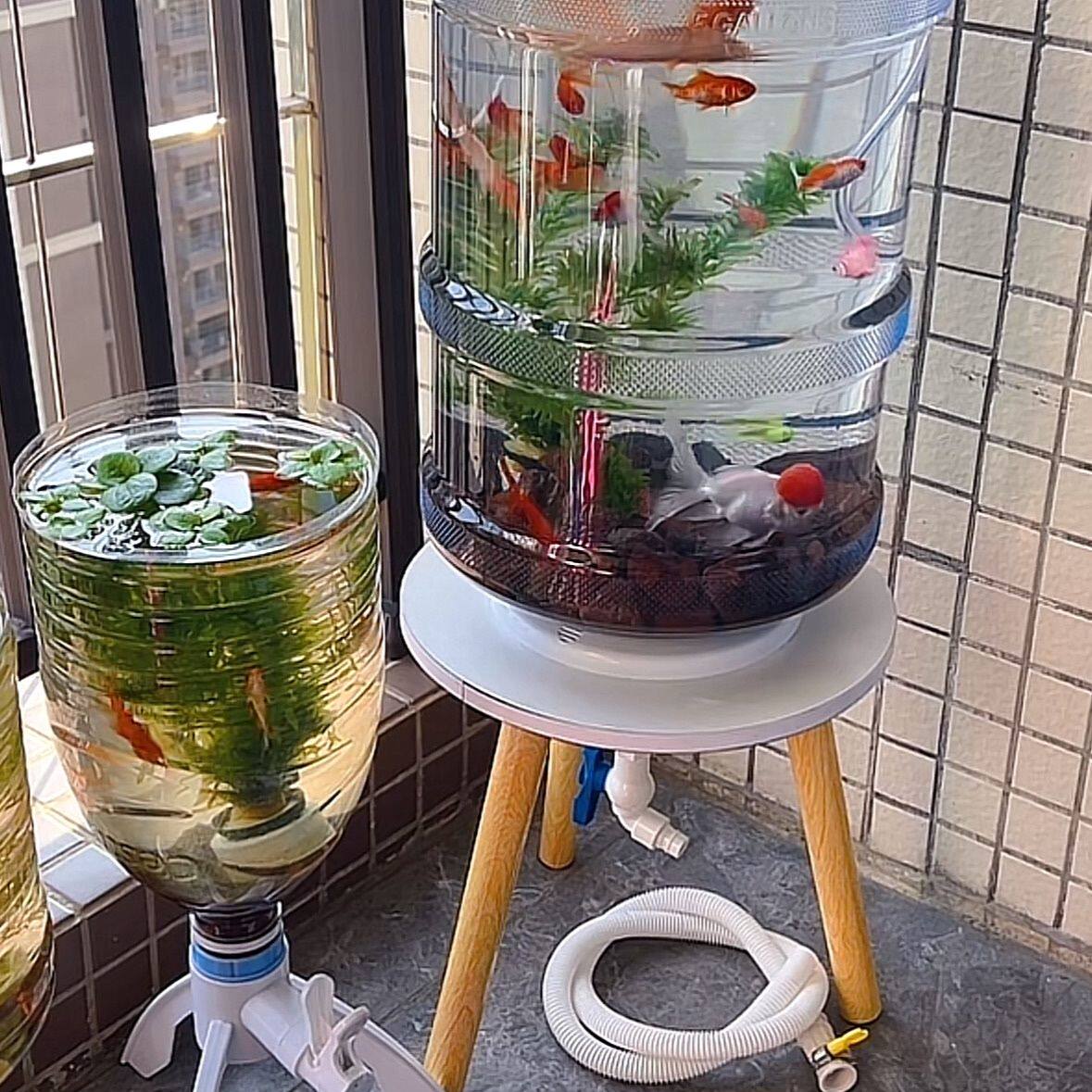 桶装水纯净水桶改鱼缸配件养鱼图片