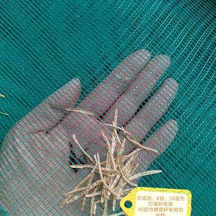 打油菜籽过滤网超大号加厚打菜籽筛菜籽网收油菜籽专用工具布家用