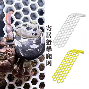 寄居蟹攀爬网格塑料格子板鱼缸隔板分离板攀爬架昆虫饮水漂浮蜂梯