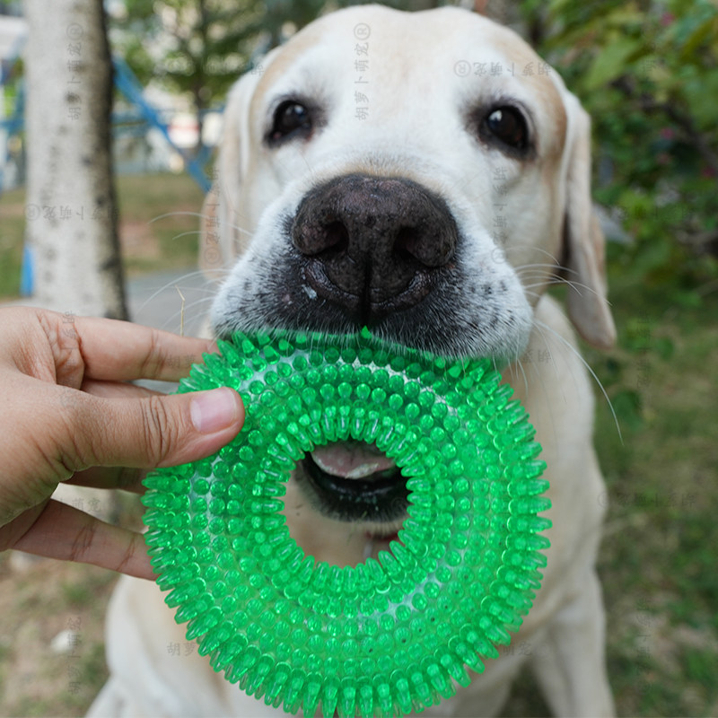 耐咬宠物玩具狗狗玩具橡胶发声玩具球 金毛泰迪拉布拉多宠物用品,宠物/宠物食品及用品,发声玩具,淘宝优惠券,粉丝福利购,淘宝优惠卷