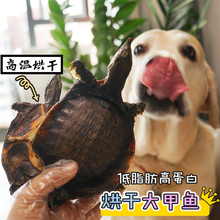 宠物零食烘干整只甲鱼中大型狗狗拉布拉多幼犬成犬磨牙棒洁齿肉干