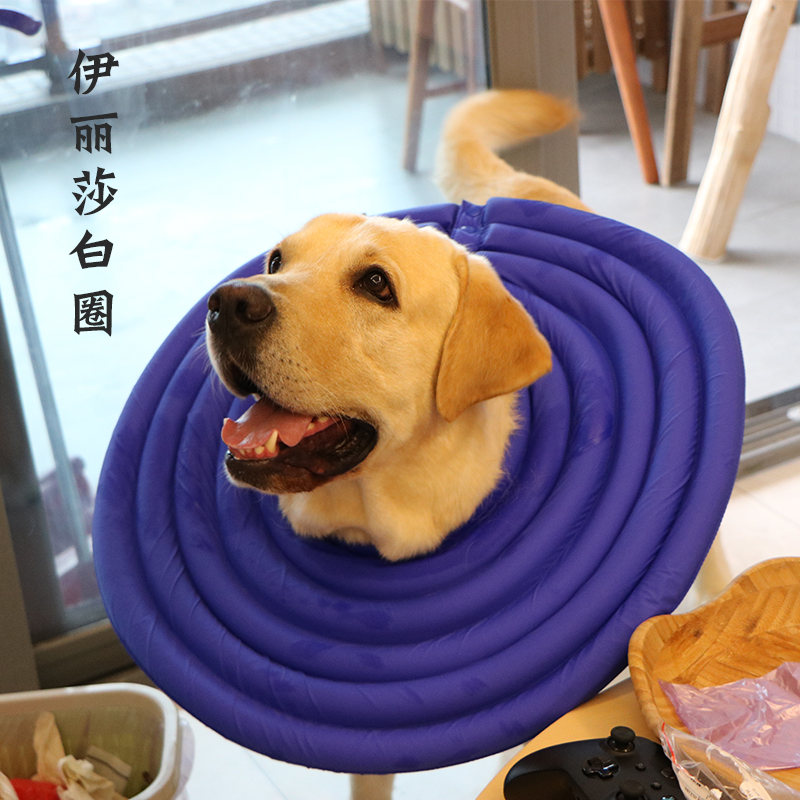 狗伊丽莎白圈大型犬防舔头套狗项圈宠物防咬圈猫咪耻辱圈狗狗用品