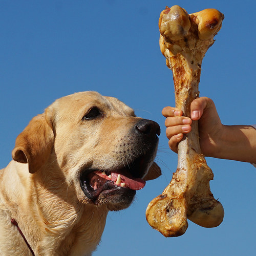 烤牛磨牙骨质量怎么样 烤牛磨牙骨口碑怎么样 小麦优选