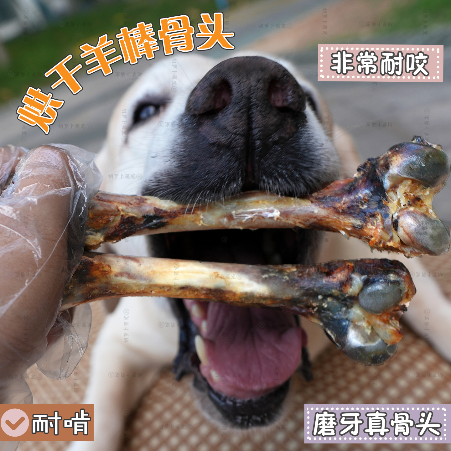 烘烤大号羊骨宠物零食中大型犬耐咬磨牙金毛拉布拉多洁齿羊棒骨