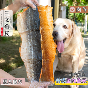 特大冻干带肉三文鱼皮宠物零食狗狗磨牙洁齿营养幼犬大狗奖励肉干