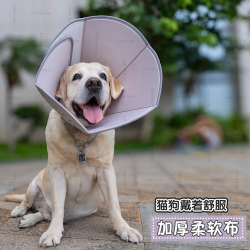 加厚柔软狗狗猫咪术后皮肤头套圈