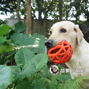 狗狗磨牙耐咬玩具橡胶洁齿球中大型犬益智宠物玩具拉布拉多金毛球