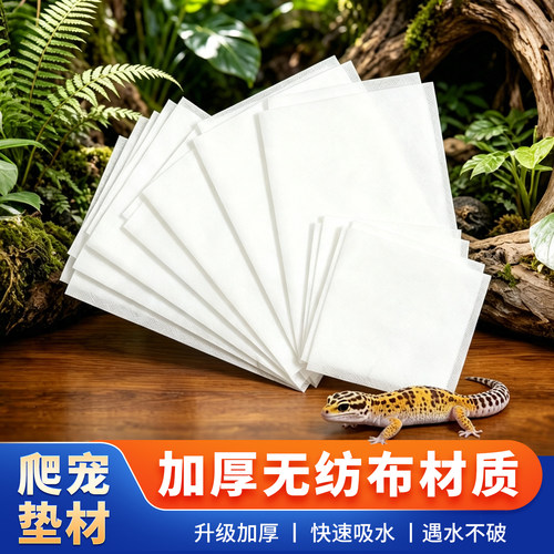 豹纹守宫睫角a4a6爬宠无纺布垫材