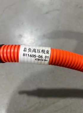 DT1605-06.01总负高压线束，橙色编织外皮，接口完