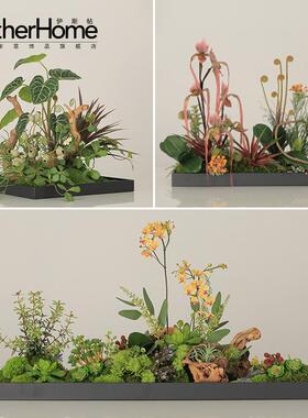 伊斯帖绿植盆景高品质