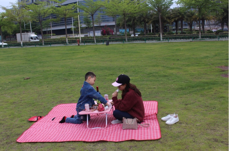 户外牛津布野餐垫加厚防水防潮植绒垫地垫加大沙滩垫野餐布帐篷垫