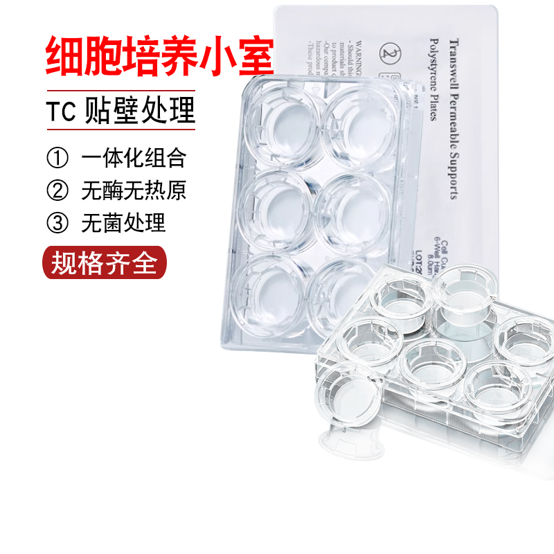 比克曼生物细胞培养小室6孔12孔24孔PC膜PET无菌无酶无热原培养板