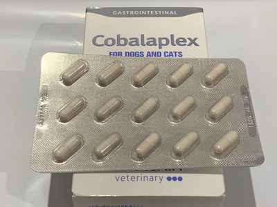 顺丰正品整版Cobalaplex钴巴拉素犬猫通用慢性胰腺肠胃道