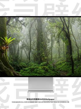 GUESSWP 5张热带雨林4K壁纸超清自然风景森林电脑手机平板壁纸Z15