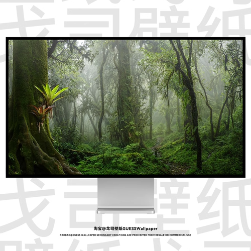 GUESSWP 5张热带雨林4K壁纸超清自然风景森林电脑手机平板壁纸Z15