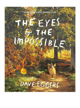 眼睛与不可能 2024纽伯瑞金奖 Shawn Harris The Eyes and the Impossible 英文原版 故事绘本