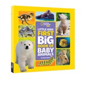 Animals Big Geographic Little Book National 国家地理幼儿版 First 英文原版 动物宝宝 Kids 科普绘本 Baby