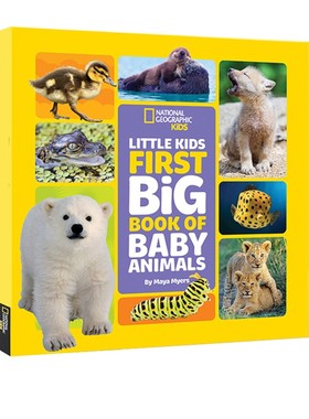 英文原版 National Geographic Little Kids First Big Book of Baby Animals 国家地理幼儿版科普绘本 动物宝宝