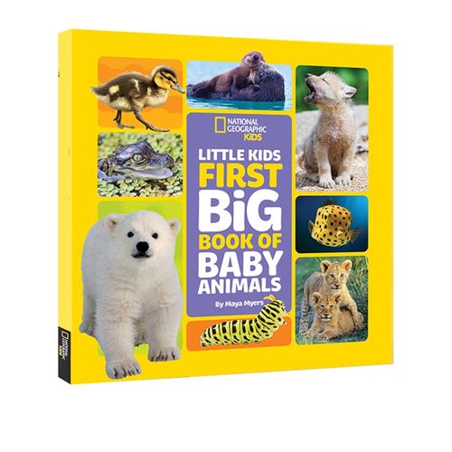 英文原版 National Geographic Little Kids First Big Book of Baby Animals 国家地理幼儿版科普绘本 动物宝宝