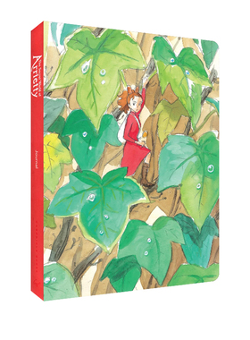 英文原版 Studio Ghibli The Secret World of Arrietty Journal 魔女宅急便笔记本 宫崎骏动画电影周边 吉卜力工作室