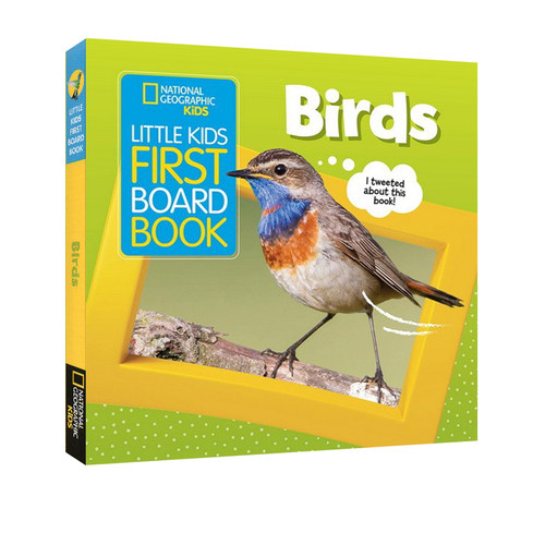 英文原版 National Geographic Kids Little Kids First Board Book: Birds 国家地理幼儿科普绘本精装：鸟
