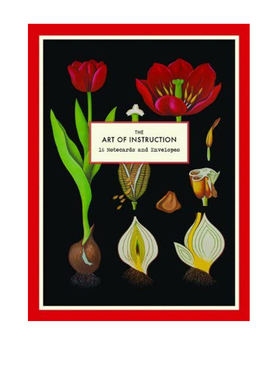 英文原版 The Art of Instruction Notecard Set: 16 Notecards and Envelopes 艺术插画礼品卡片
