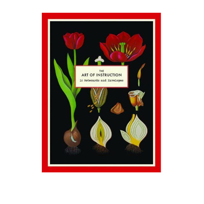 英文原版 The Art of Instruction Notecard Set: 16 Notecards and Envelopes 艺术插画礼品卡片