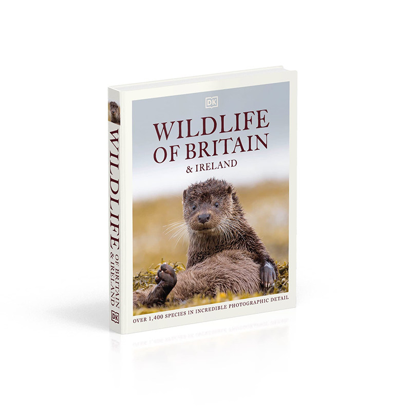 英文原版 Wildlife of Britain and Ireland 精装 野生动物摄影集 DK出品 全彩大开本科普读物