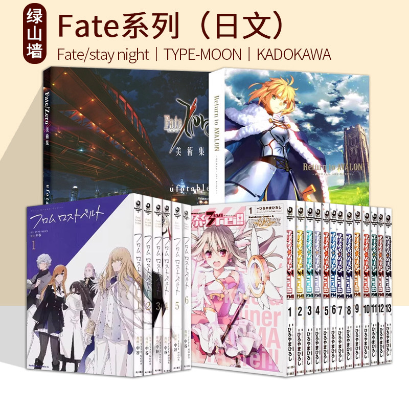 日文原版 Fate/stay night/Requiem 艾梅洛阁下二世事件簿 亚种特异点IV ひろやまひろし TYPE-MOON 绿山墙日文原版