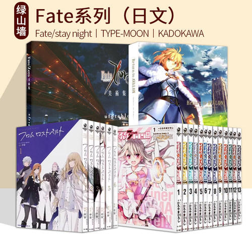 日文原版 Fate/stay night/Requiem 艾梅洛阁下二世事件簿 亚种特异点IV ひろやまひろし TYPE-MOON 绿山墙日文原版
