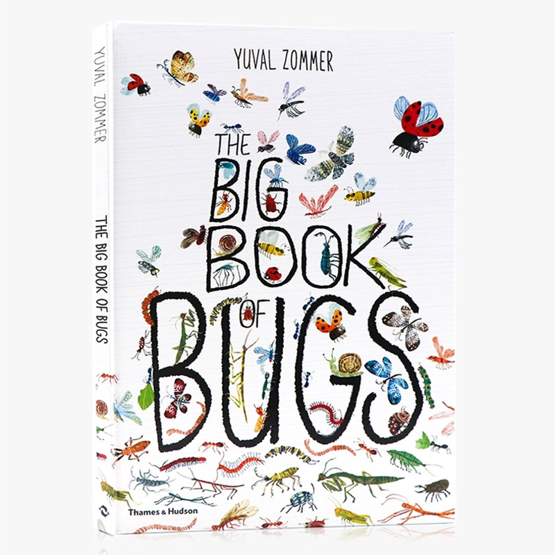英文原版 虫子大书 自然科普艺术 The Big Book of Bugs 精装装大开本 精美插画 儿童昆虫科普读物