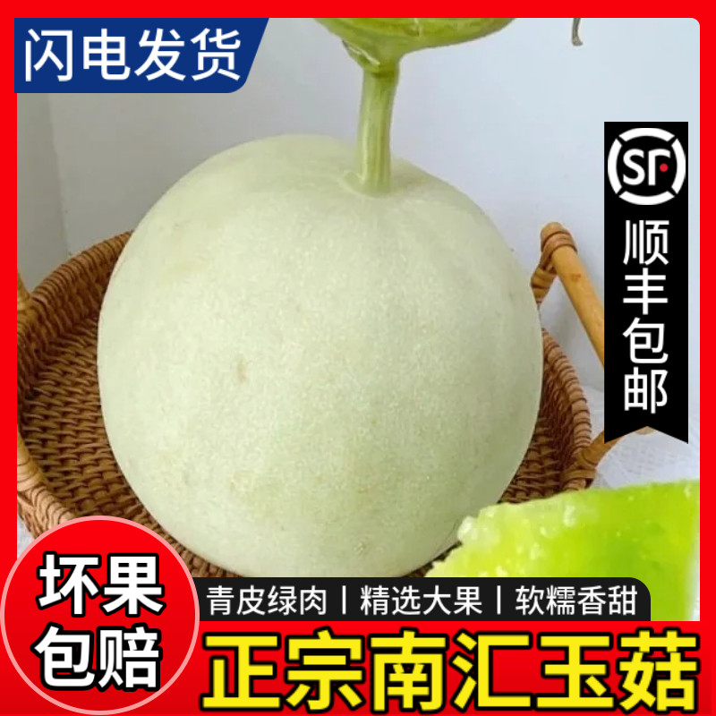 正宗上海南汇玉菇甜瓜10斤新鲜水果青皮绿肉香瓜玉茹蜜瓜顺丰包邮