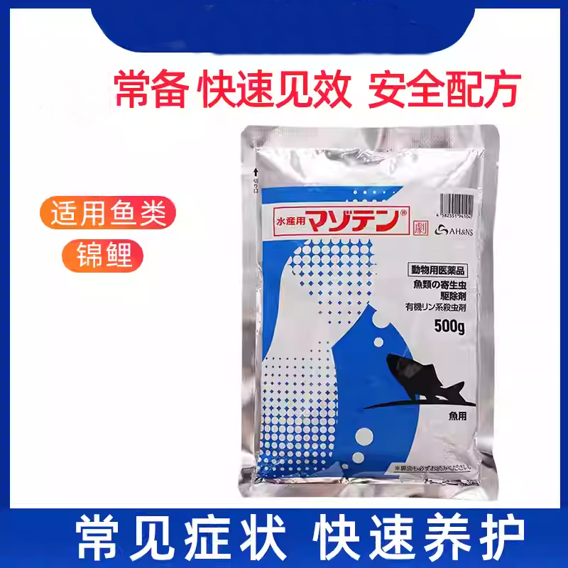 日本锦鲤马素田锦鲤金鱼专用