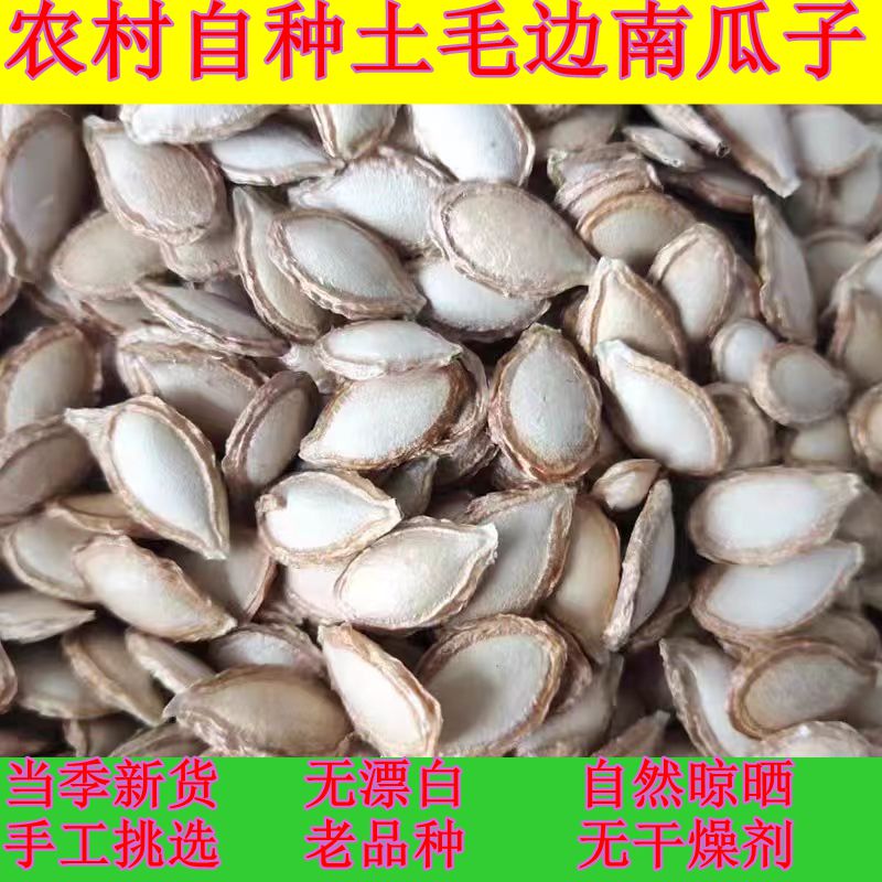 重庆农家自种老品种土南瓜子新鲜毛边生南瓜籽带壳原味干货包邮