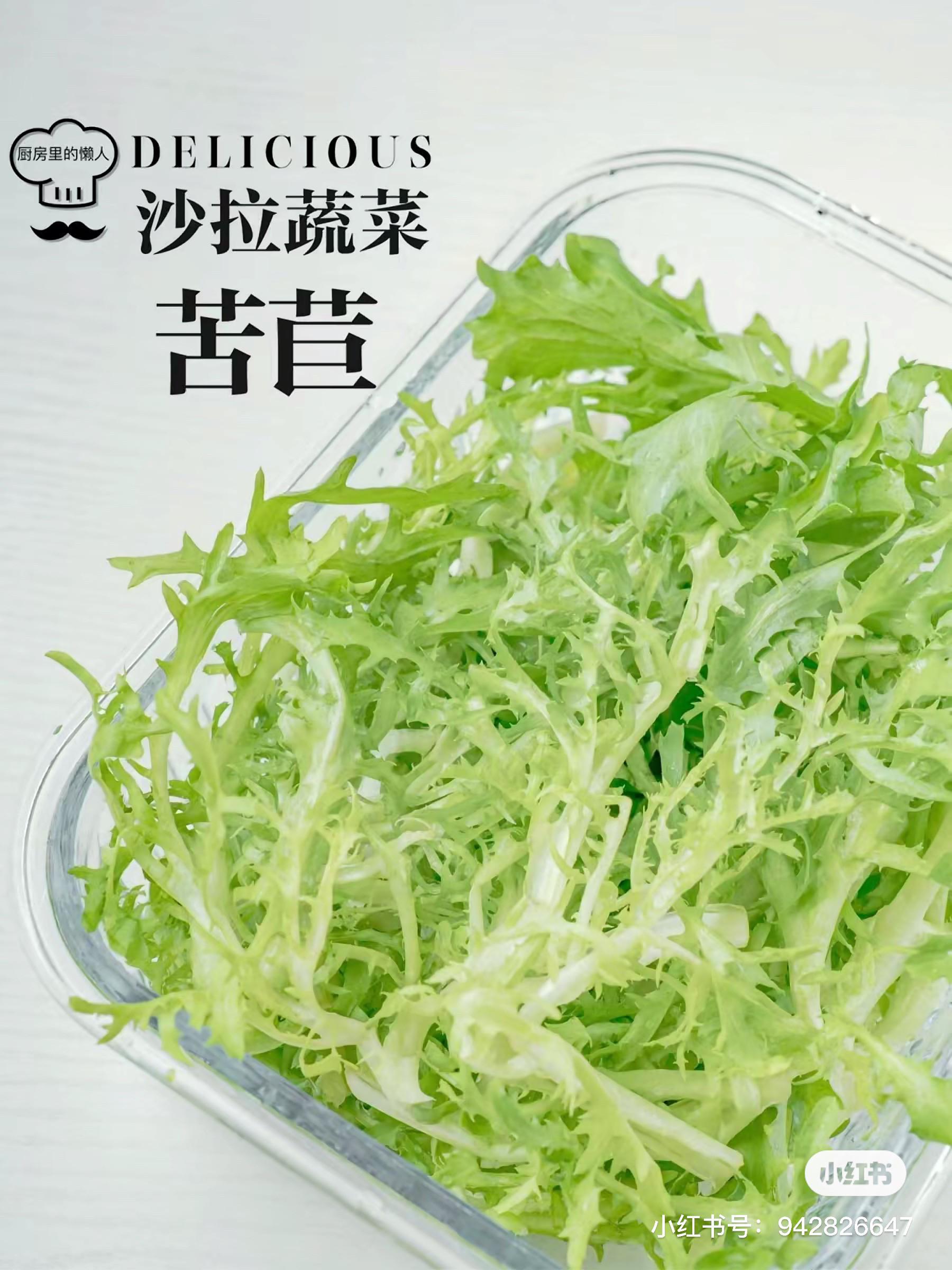 苦菊新鲜蔬菜生吃当季新鲜组合菜细叶黄心苦菊网红苦苣青菜生菜