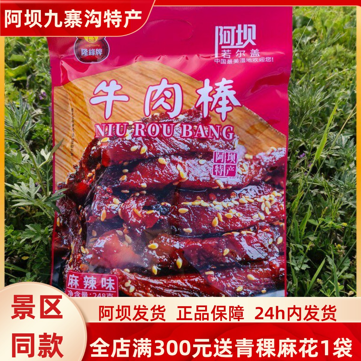 四川九寨沟特产美食川西藏族小吃松潘若尔盖隆缘牌牛肉棒美食248g
