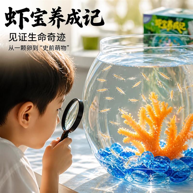 虾宝养成记科学实验套装儿童观察生物孵化教学教具六一儿童节礼物