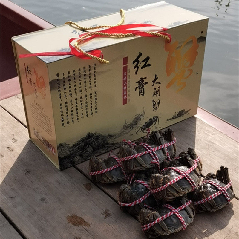 蟹农直销10只装全母大螃蟹鲜活水产兴化大闸蟹鲜活现货2两全母蟹